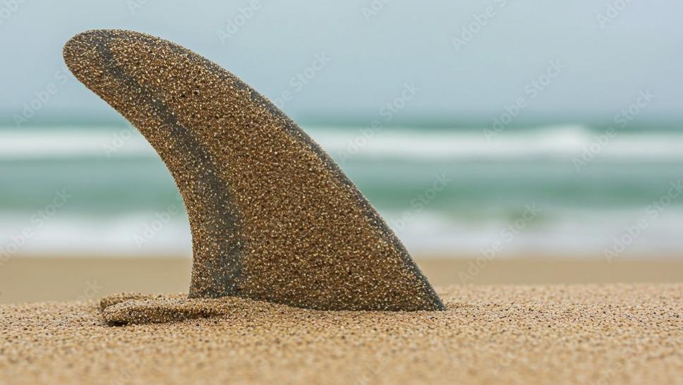 Single fin on sandy beach