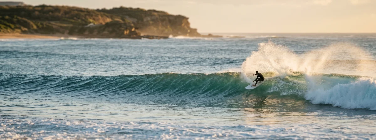 A surfer mid-bottom turn on a clean head-high wave, shot from shore with warm afternoon light on the wave face.